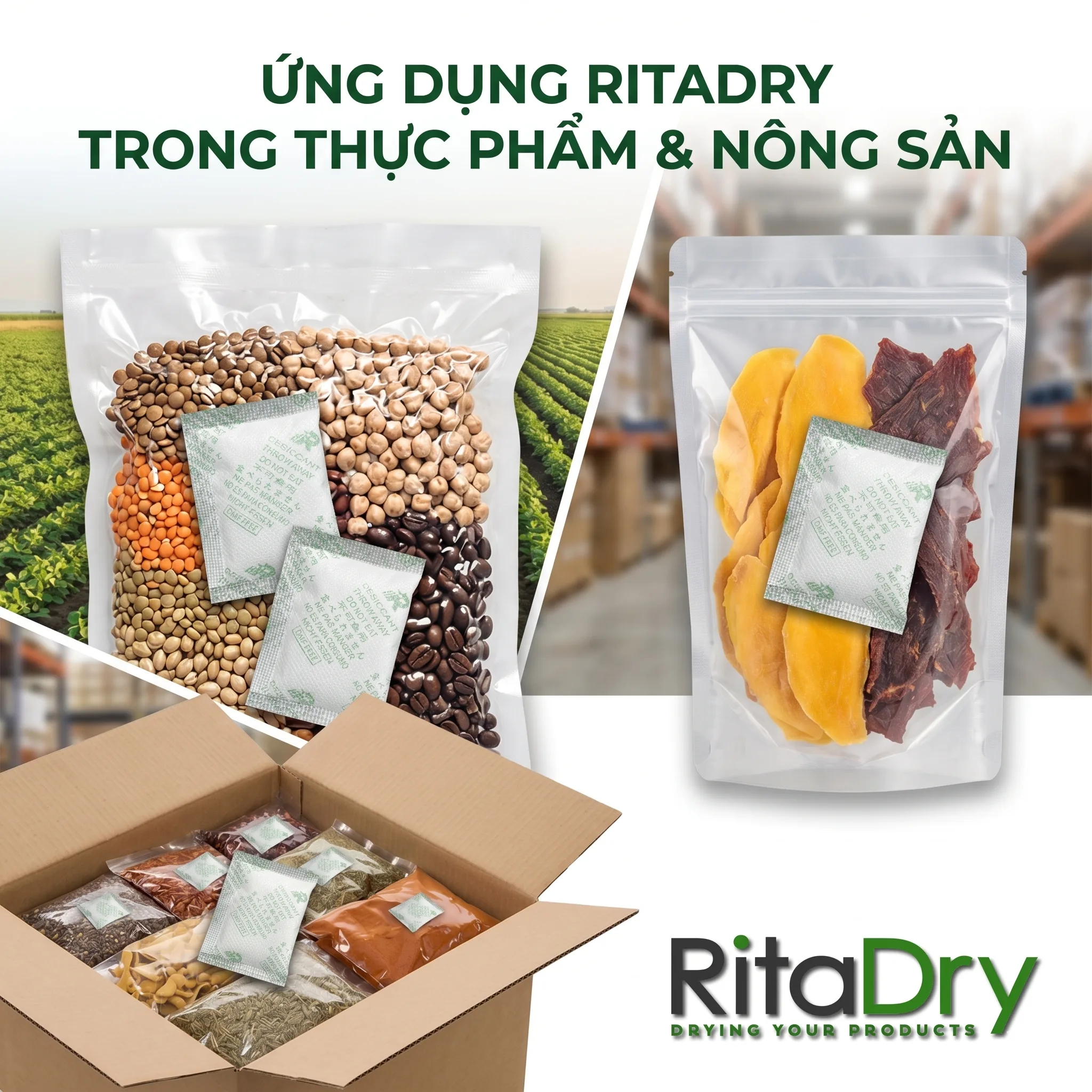 Gói Hút Ẩm Clay Trong Ngành Thực Phẩm | An Toàn – Hiệu Quả